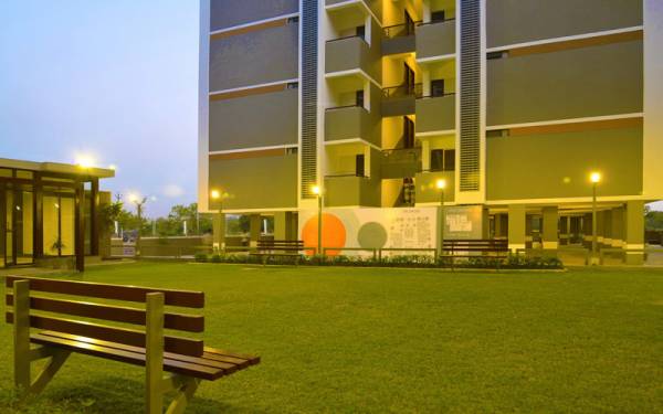 Landscape Garden and Tree Planting optima Landscape Garden and Tree Planting