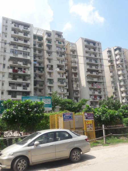 Images for Project greens Images for Project