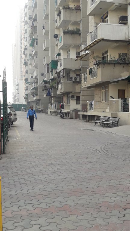  greens Images for Project