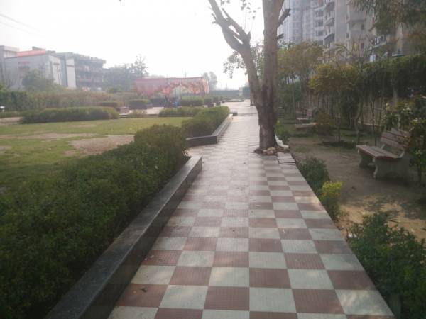 Jogging Track greens Jogging Track