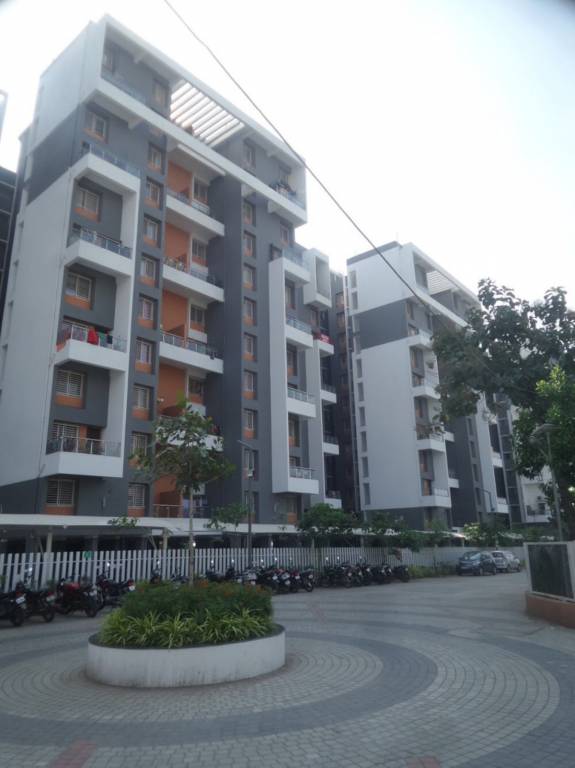  graffiti phase 1 b e f Images for Project