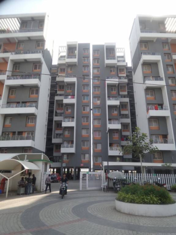  graffiti phase 1 b e f Images for Project