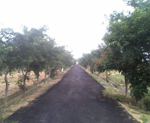 Images for Elevation of S2 Green Info Zone