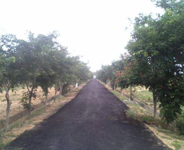 Images for Elevation of S2 Green Info Zone Images for Elevation of S2 Green Info Zone