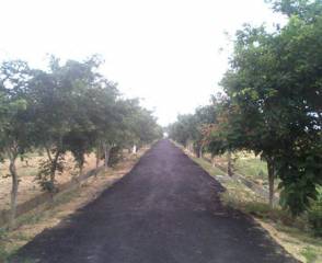 Project Image Project Image