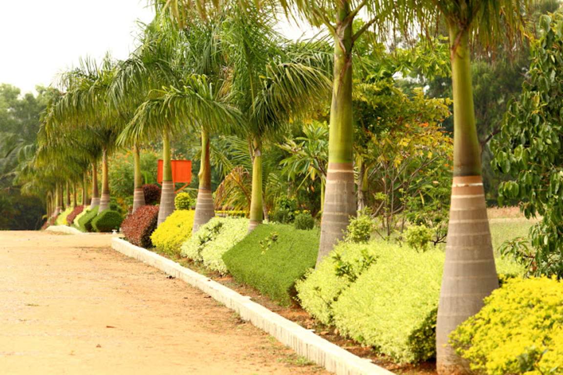 Images for Main Other of Bizpro Golden Mile