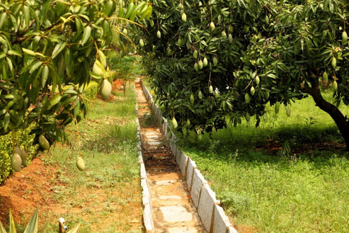 Images for Main Other of Bizpro Golden Mile