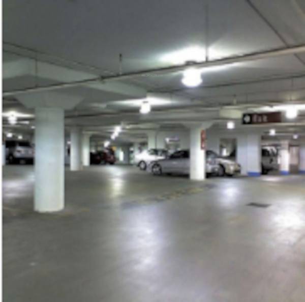  palace Closed Car Parking