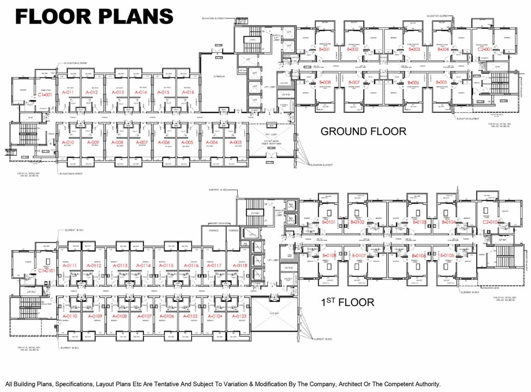 beetle orchid Cluster Plan