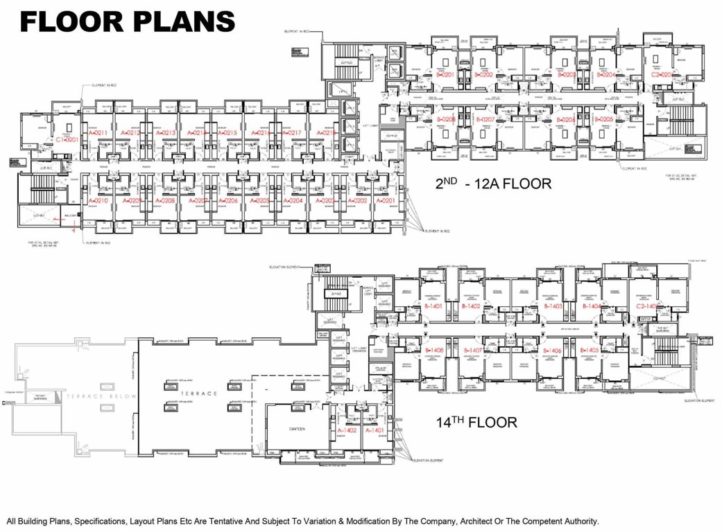 beetle orchid Cluster Plan