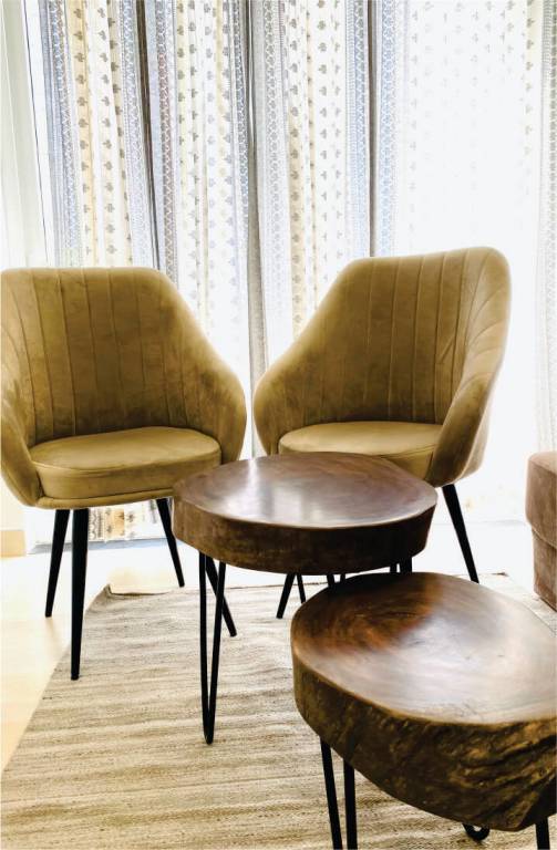 beetle orchid Living Area