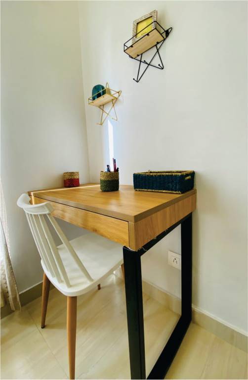 beetle orchid Living Area