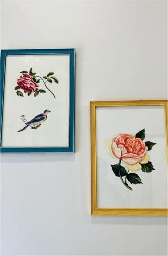  beetle-orchid Living Area