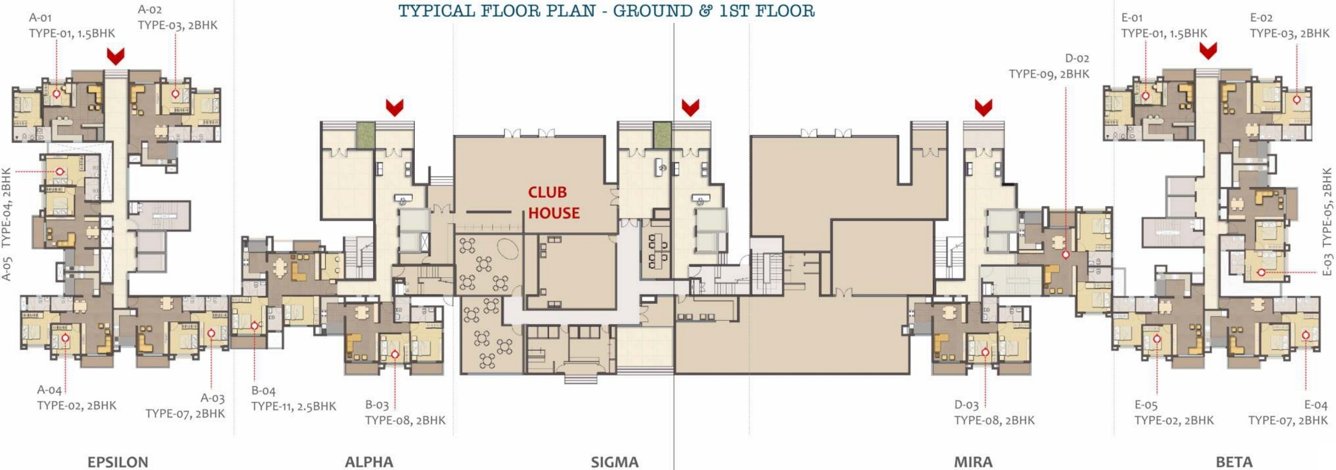 Images for Cluster Plan of MJR Clique Hydra
