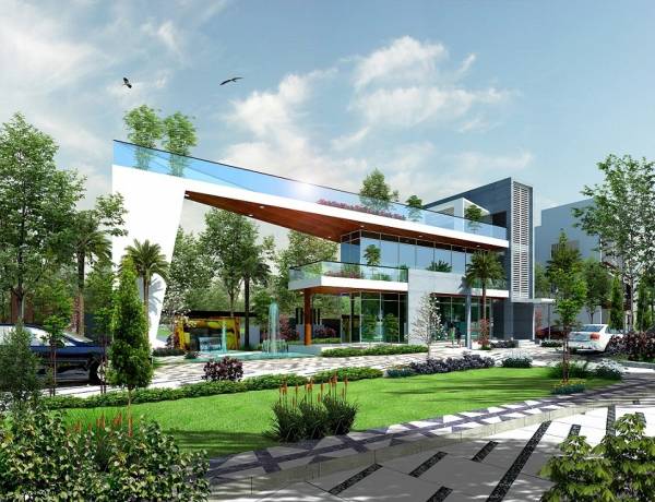 Others sunshine Others