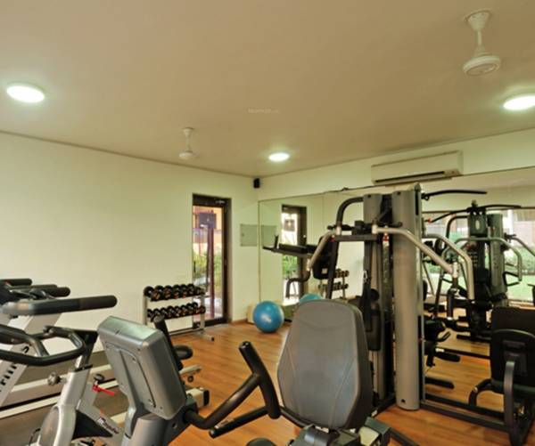 Gymnasium gardenia Gymnasium