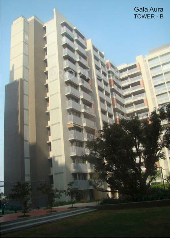  aura Images for Elevation of Gala Aura