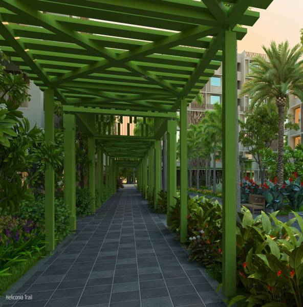 Images for Amenities of Deep Heliconia