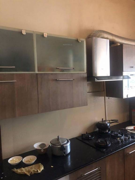 Silverglades Laburnum