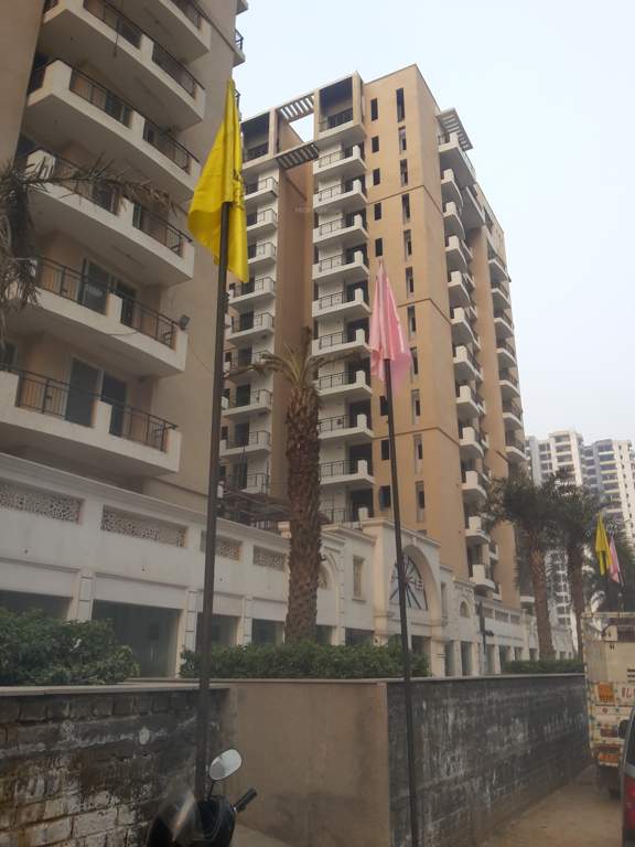  royal court Images for Project