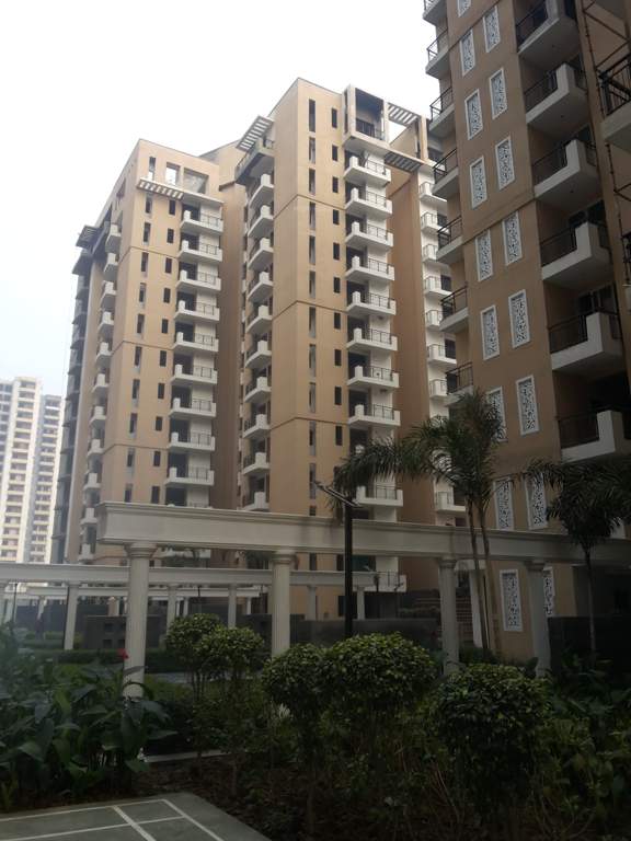  royal court Images for Project