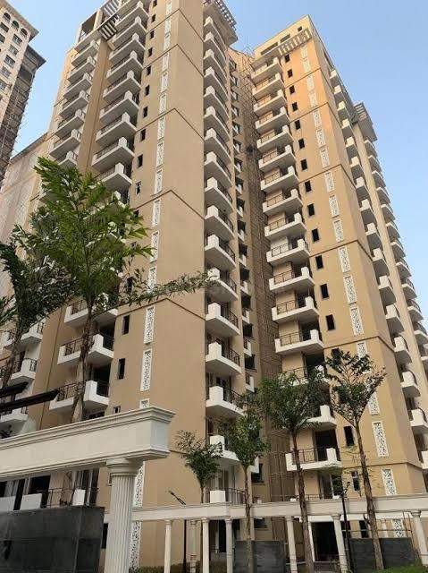  royal court Images for Project