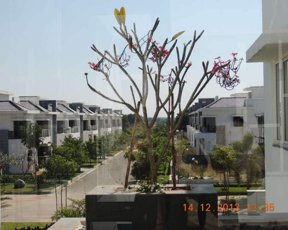  infiniti homes Images for Elevation of VIsion Infiniti Homes