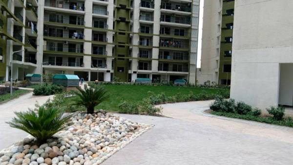 Paved Compound griha-pravesh Paved Compound