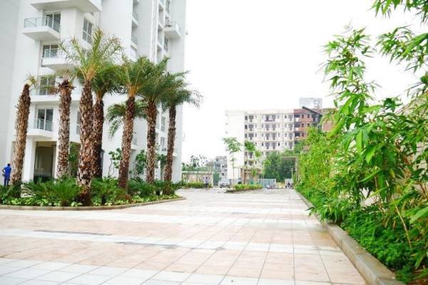 Images for Amenities of M3M Escala Images for Amenities of M3M Escala