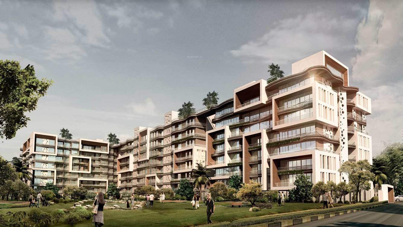  bellagio lvl nxt Images for Elevation of Team Bellagio LVL Next