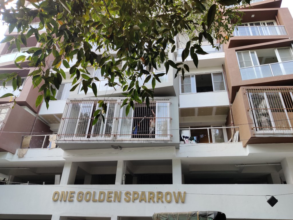 1 golden sparrow Elevation