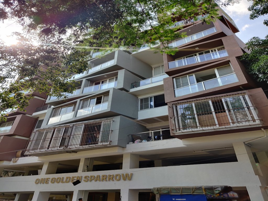 1 golden sparrow Elevation