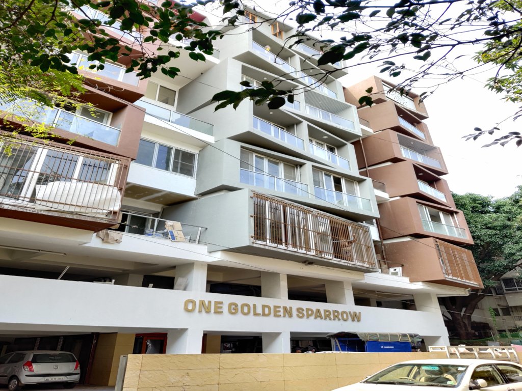 1 golden sparrow Elevation