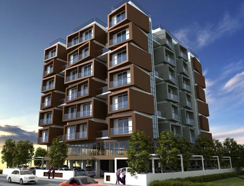  1-golden-sparrow Images for Elevation of Golden Sparrow 1 Golden Sparrow