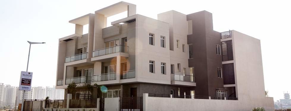  the westerlies Elevation