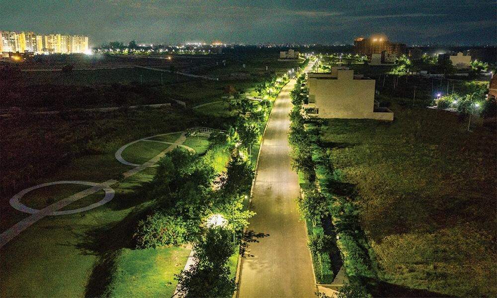  the westerlies Landscape Garden and Tree Planting