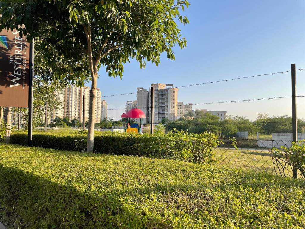  the westerlies Landscape Garden and Tree Planting