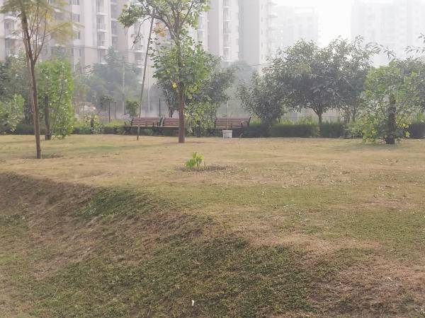 Landscaped Gardens the-westerlies Landscaped Gardens