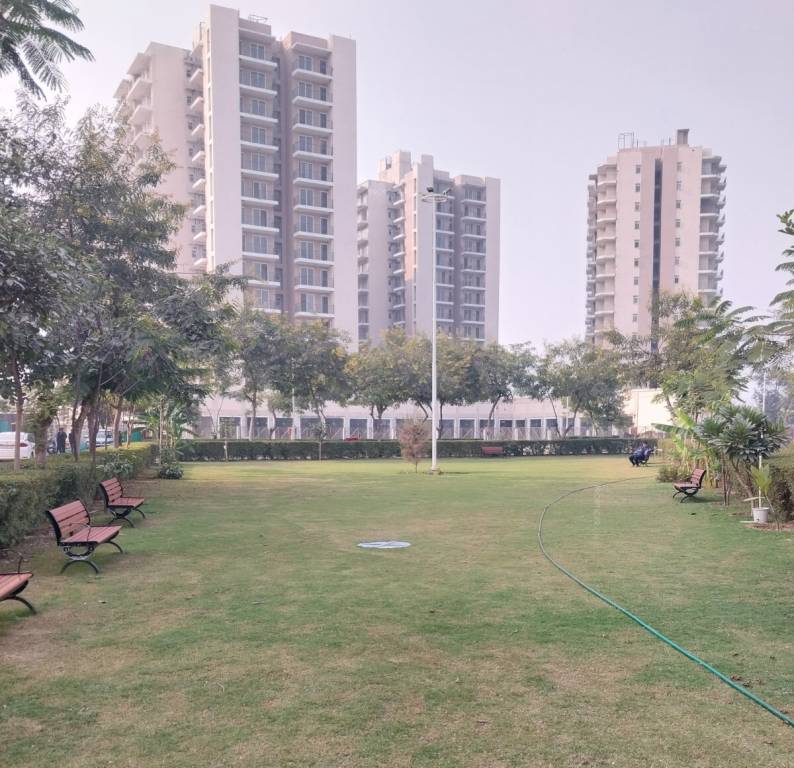  the westerlies Landscaped Gardens