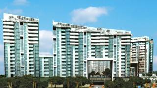 Project Image Project Image