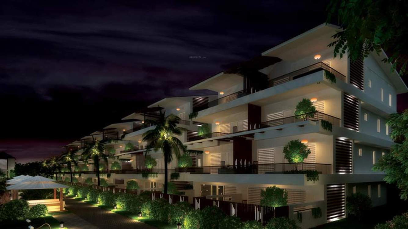 Images for Elevation of Aaress The Eternal Wave