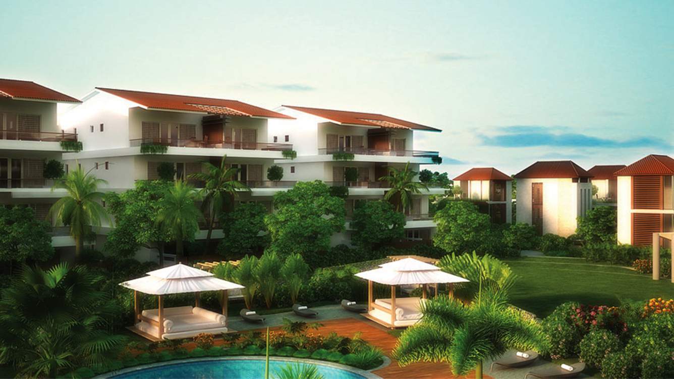 Images for Elevation of Aaress The Eternal Wave