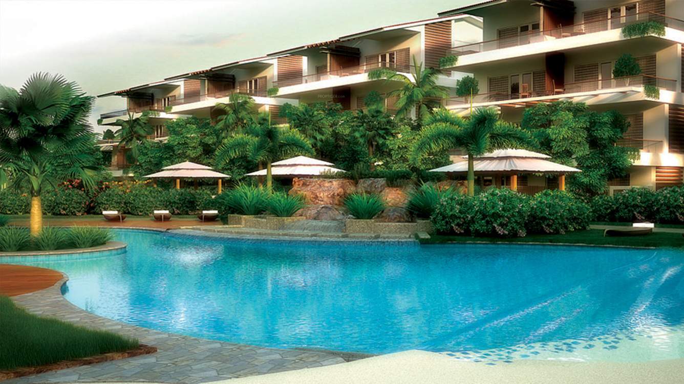 Images for Elevation of Aaress The Eternal Wave