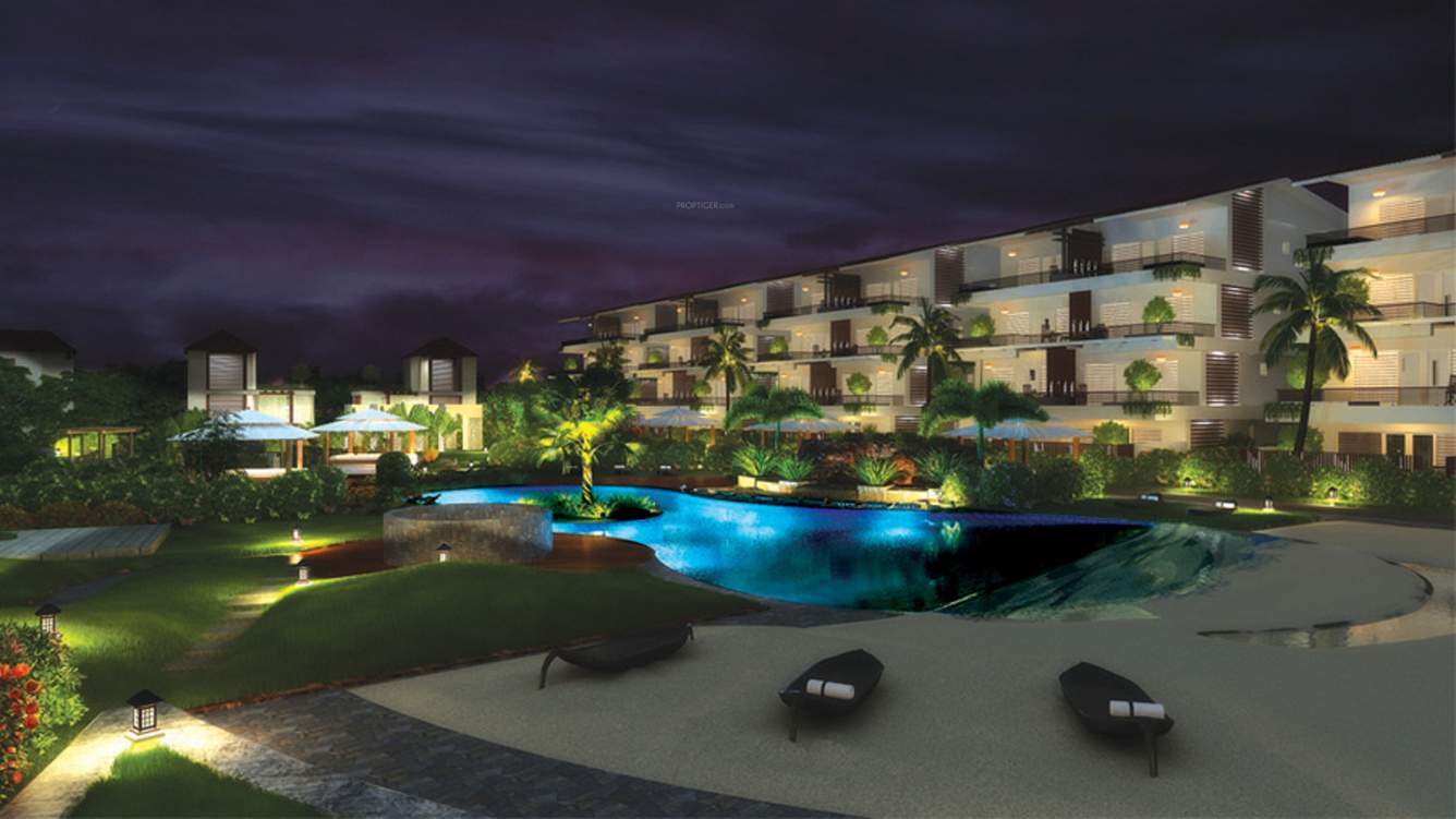 Images for Elevation of Aaress The Eternal Wave