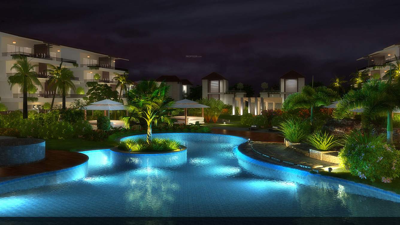 Images for Elevation of Aaress The Eternal Wave