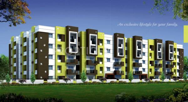 Images for Elevation of Star GR Signature