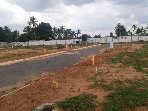 Plot nature-valley Plot