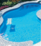Swimming Pool  tulips Swimming Pool