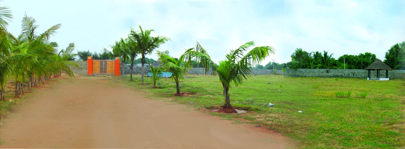 Images for Main Other of Star Beach Park