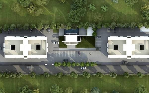  ike-no-midori Others